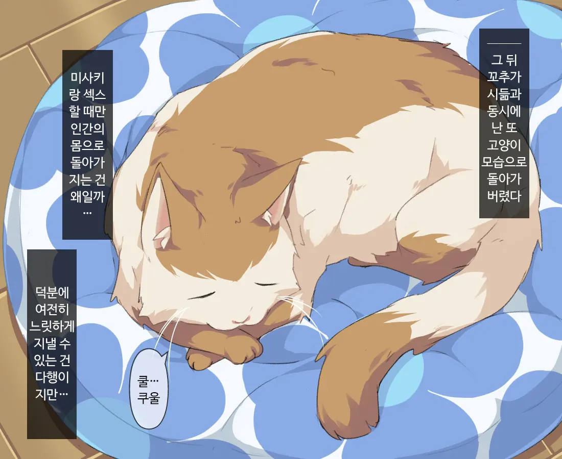 Saenai Ossan No Ore Ga Kyonyuu Jk No Kaineko De Shi Houdai Na Ken Ni Tsuite